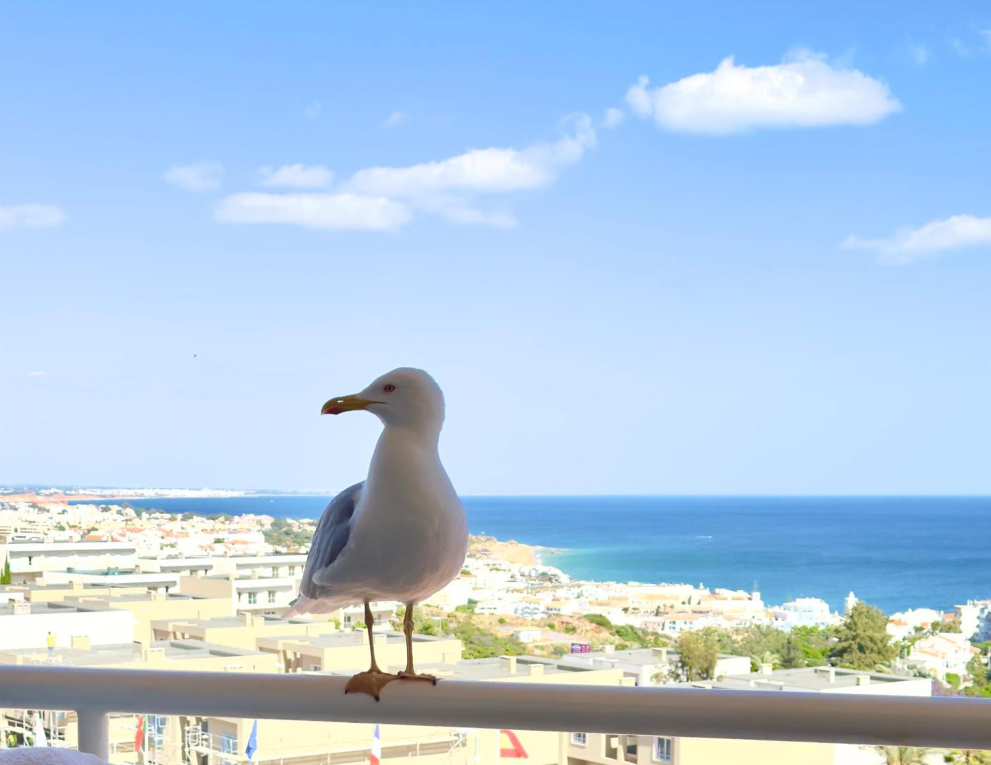 Apartment Les 3 Dauphins in Albufeira Extérieur photo